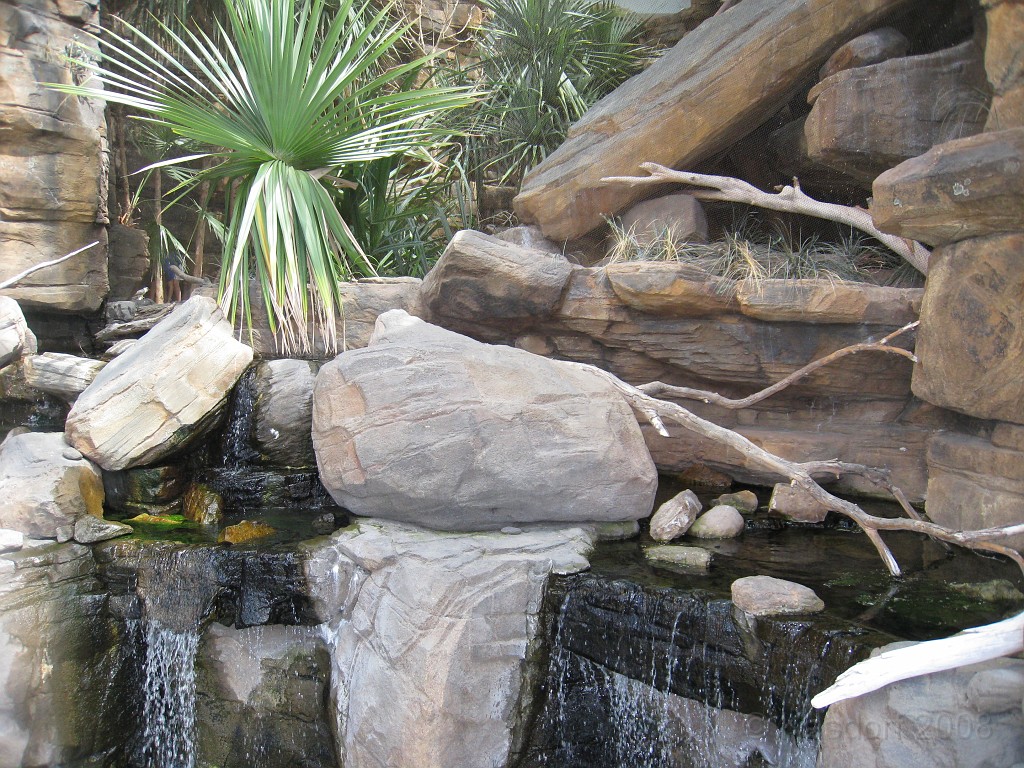 Baltimore MD 2009 1980.jpg - A 4th of July trip to Washington DC in 2009 included a stop in Baltimore MD to see the National Aquarium.